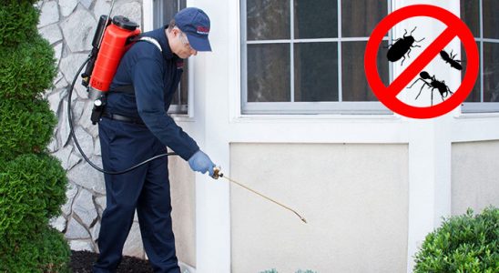 Foça Dezenfeksiyon böcek ilaçlama ve haşere kontrolü — ilaclama-tr.com